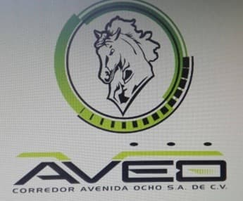 company icon